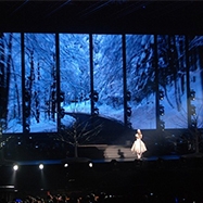 王菲2011巡唱演唱会——长沙站 big picture